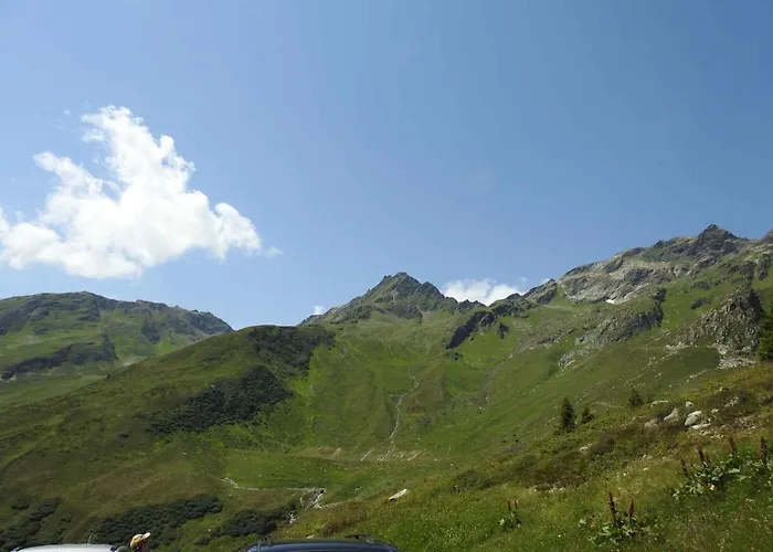 In Paznauntal 42411 *